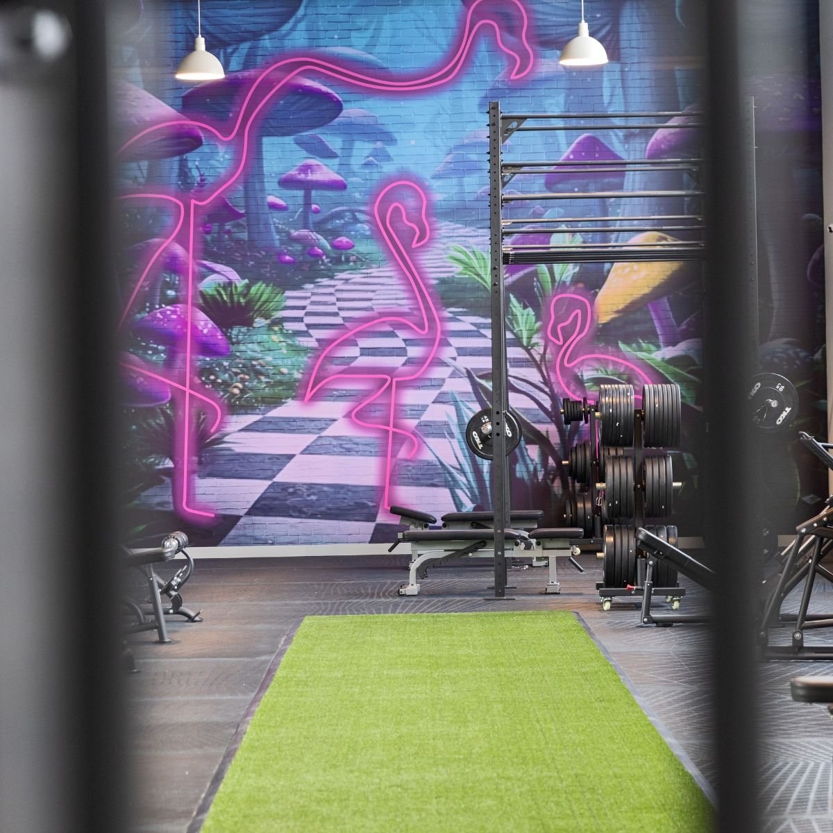 Luxury art in fitness center in Kansas City